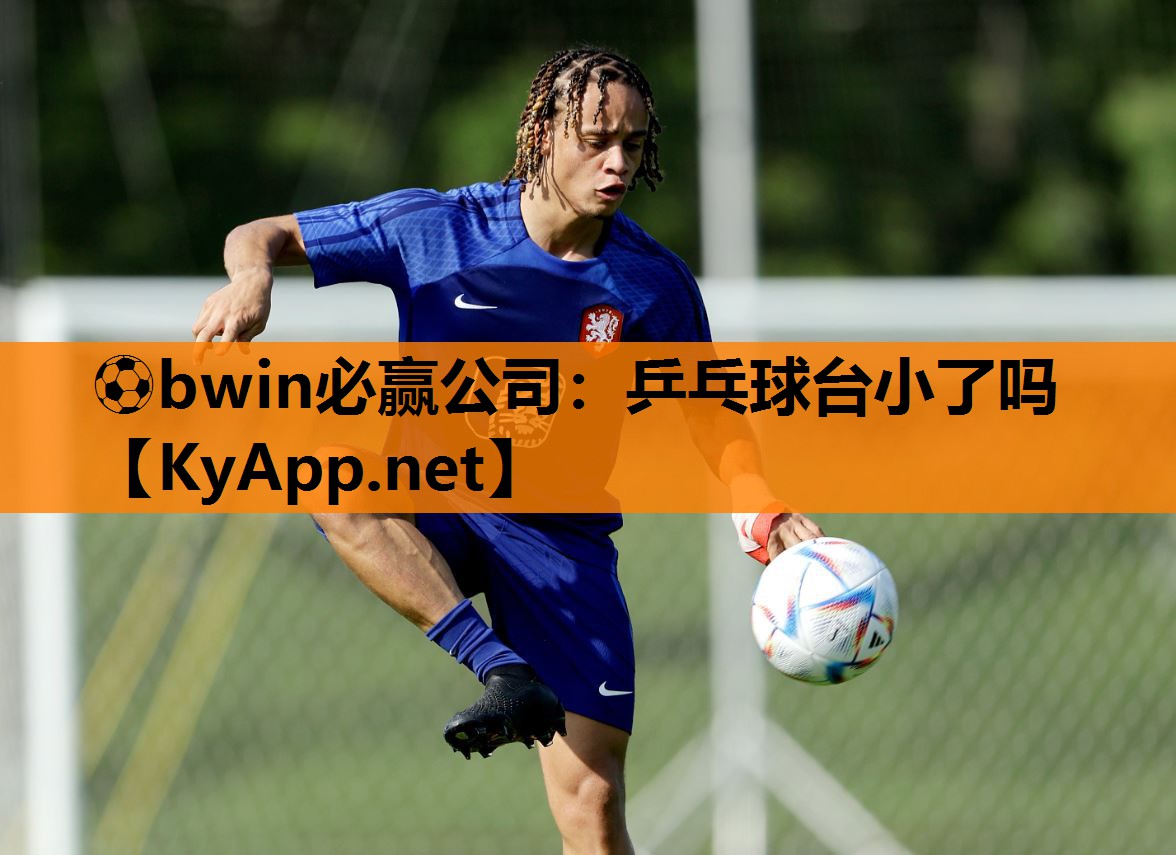 乒乓球台小了吗