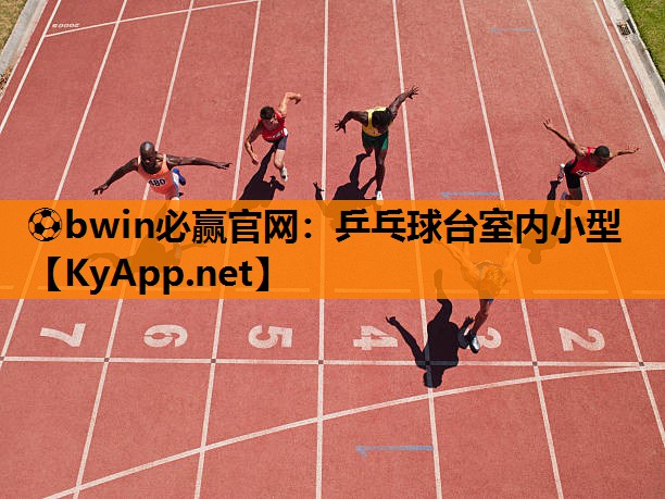 乒乓球台室内小型